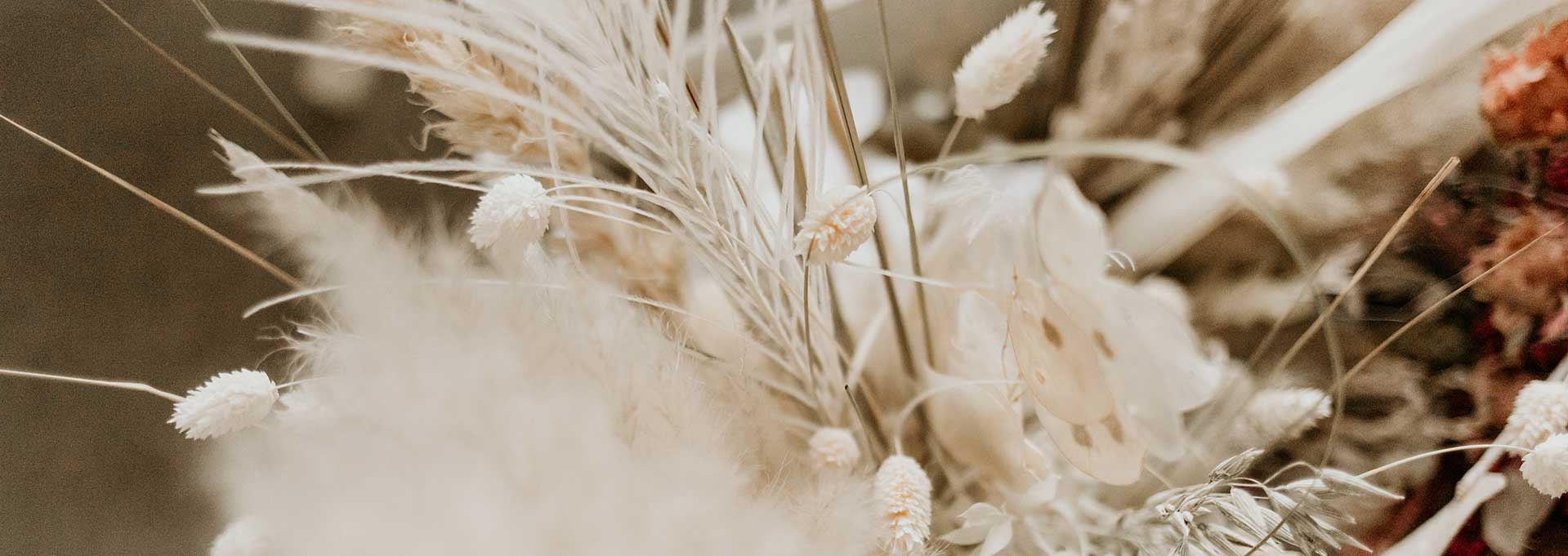 Trockenblumen
